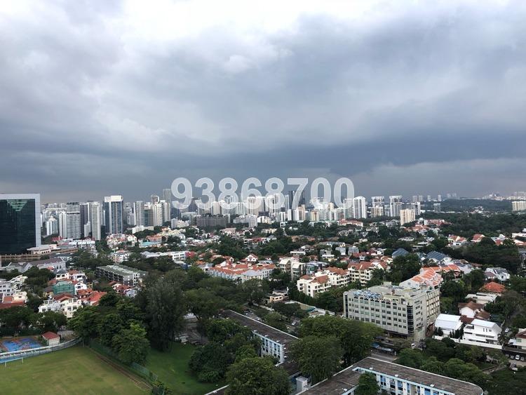 One Dusun Residences (D12), Apartment #161939922